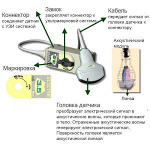 transducer